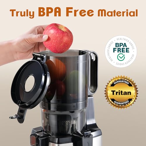 Cold Press Juicer (Silver)