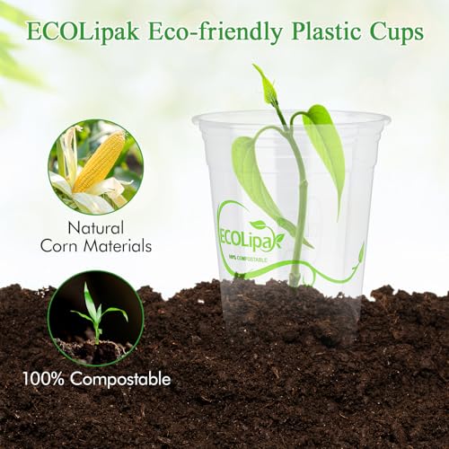 1000 Count 12 OZ Clear Compostable Plastic Cups for Restaurant (12oz-clear)