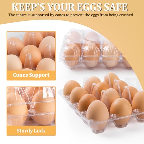 40PCS Plastic Egg Cartons 18 Count (40 Count)