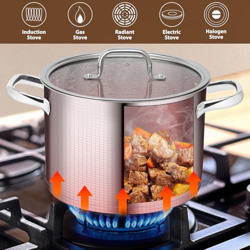 Stainless Steel Stock Pot (8 Quarts)