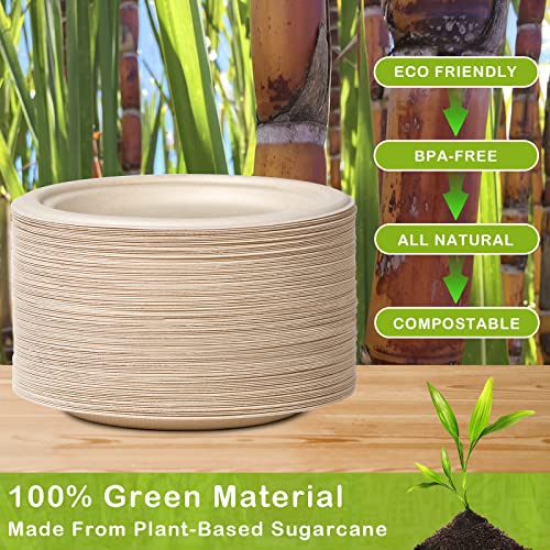 500 Pack Compostable Paper Plates 9 inch (9 inch 500 pack)