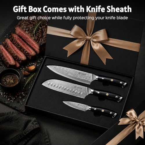 3 Pieces Chef Knife Set (Black,Silver)