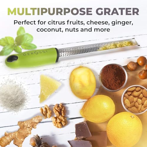 Stainless Steel Cheese Grater & Lemon Zester w