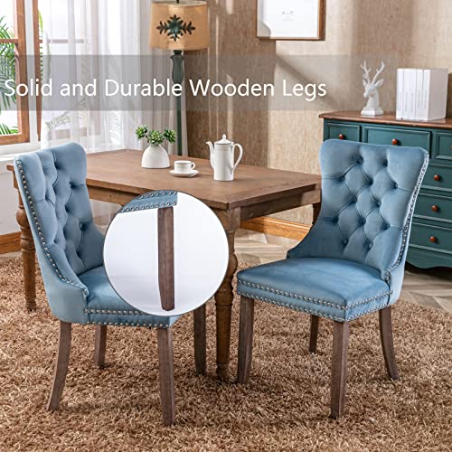 Light Blue Velvet Dining Chairs Set of 4 (Light Blue)