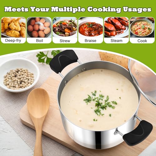 5 Qt Pot with Lid (5 Quarts)