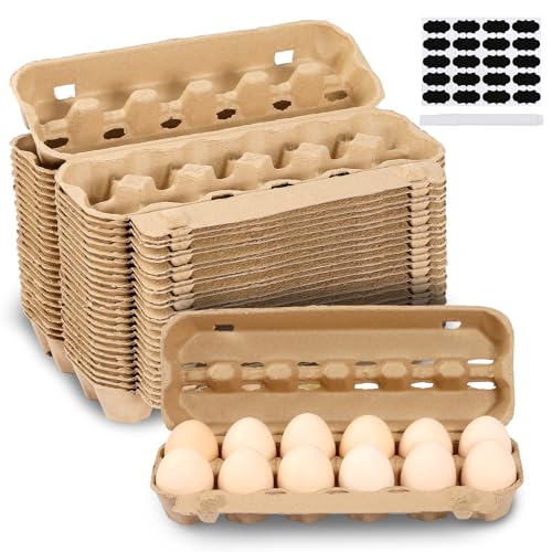 25 Pack Empty Egg Cartons 12 Count (2x6 Style - 25Pack)