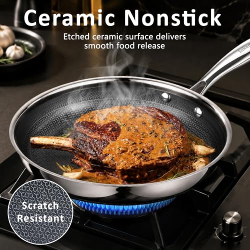 11" Hybrid Nonstick Frying Pan (11 inch)
