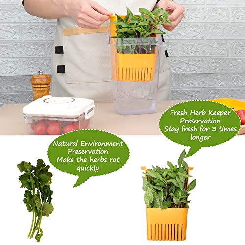 3 Pack Fresh Herb Keeper for Refrigerator (3 Pack)