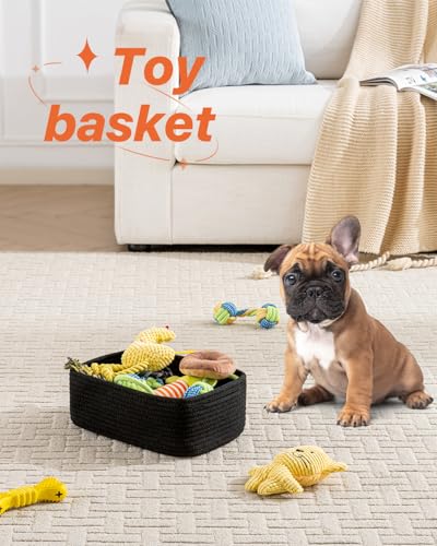 Small Woven Storage Basket for Organizing (Black / 12"L x 8"W x 4.5"H)