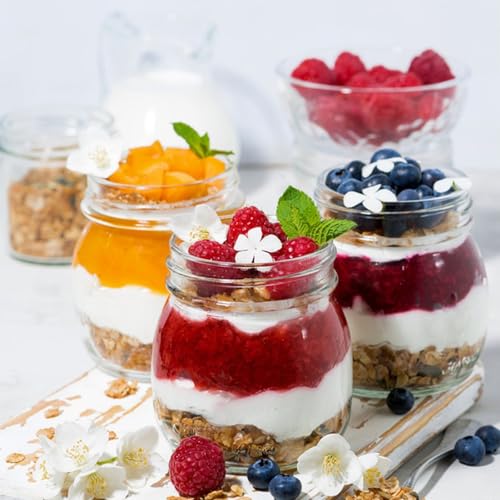 24 Pack 10 oz Clear Glass Mason Jars with Silver Metal Split Lids (10 oz - 24 Pack)