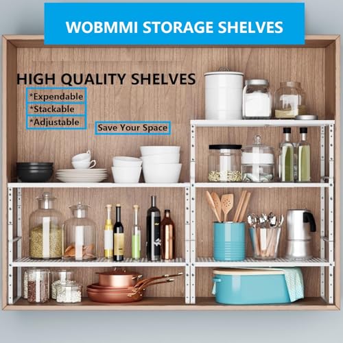 Expandable Adjustable & Stackable Spice Rack (White / 2PACKS/WHITE/MEDIUM)