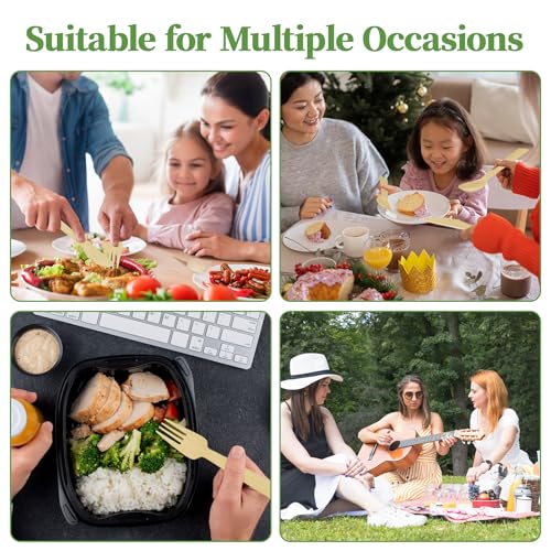 300 Count Disposable Compostable Bamboo Forks for Party (forks)