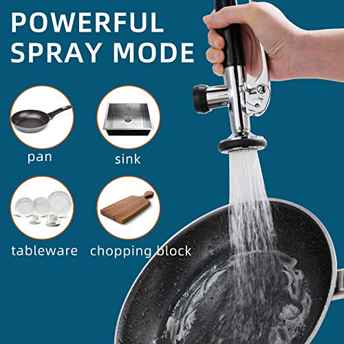 Chrome Kitchen Faucet with Sprayer (Chrome)