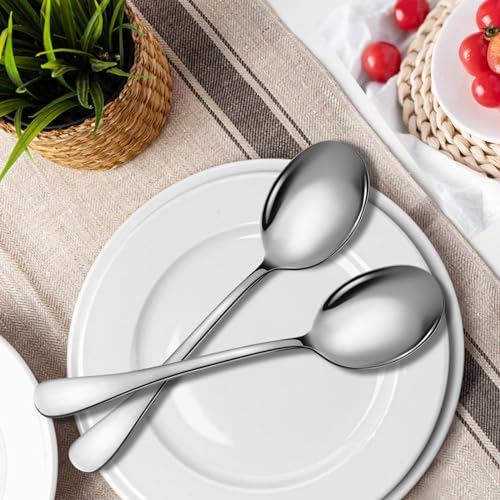 Stainless Steel Serving Spoons Set (8 Pieces (Large Only) / Silver)