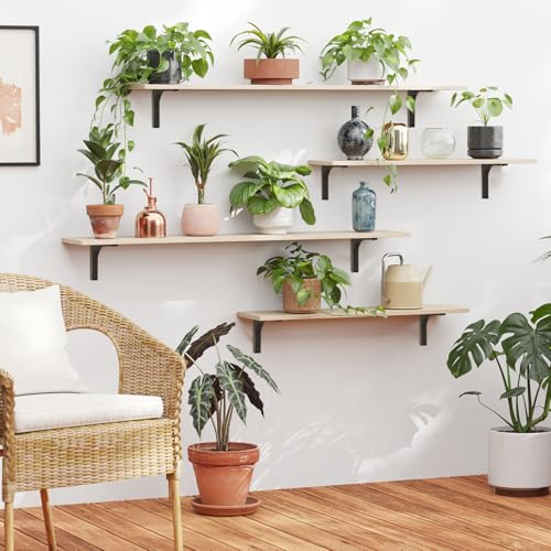 Long Wall Shelves (Natural / 31.5 Inch)