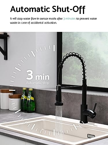 Touchless Kitchen Faucet (Matte Black)