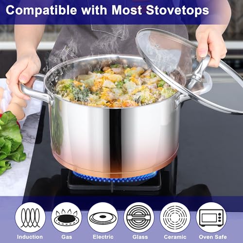 Stainless Steel Stock Pot (8 Quarts)