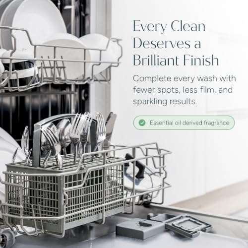 Dishwasher Rinse Aid Cleaner (12 Fl Oz (Pack of 1))