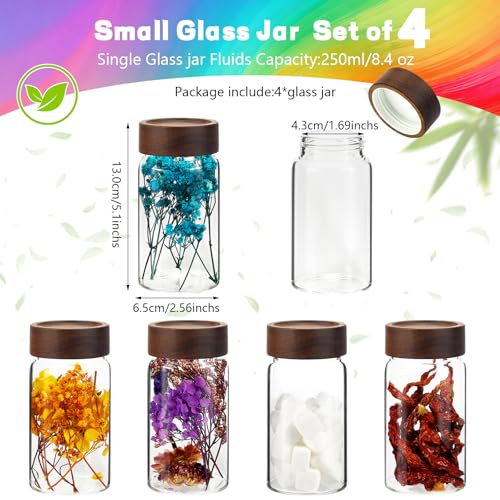 8 oz Small Glass Spice Jars with Airtight Wood Acacia Lid 4 PCS (4×250ml(8.4oz))