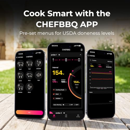 Wireless Meat Thermometer (Silver and Black)