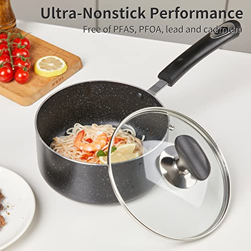 Nonstick Saucepan Set with Lid