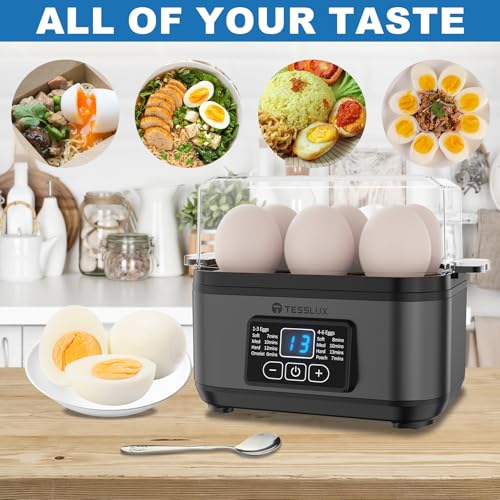 Electric Egg Cooker (Black)