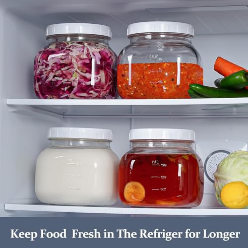 0.6Gal Airtight Glass Jar with Lid (0.6 Gallon)