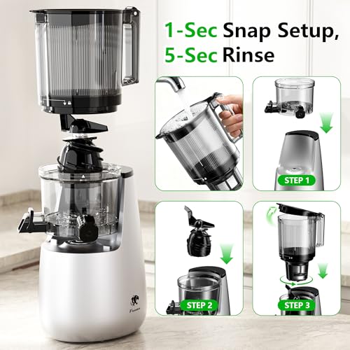 Cold Press Juicer (Silver)