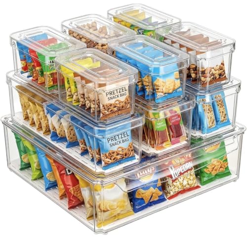 10 Pack Food Storage Organizer Bins (10 Pcs Food Storage Containers)