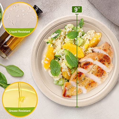 Disposable Paper Plates 9 inch (9 inch 50 pack)