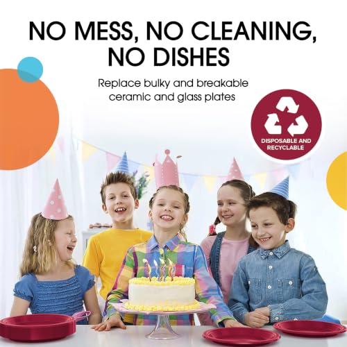 Sturdy Burgundy Plastic Plates 10" Party Plates 100 Pcs (10 inch / Burgundy)