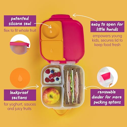 Mini Lunch Box