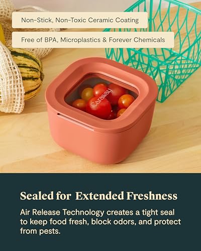 6 Piece Food Storage Container Set (Perracotta / 1.75 Cup Food Storage (6x))