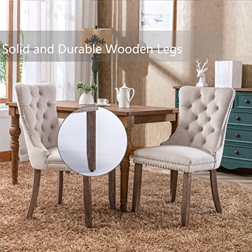 Beige Velvet Dining Chairs Set of 6 (Beige)