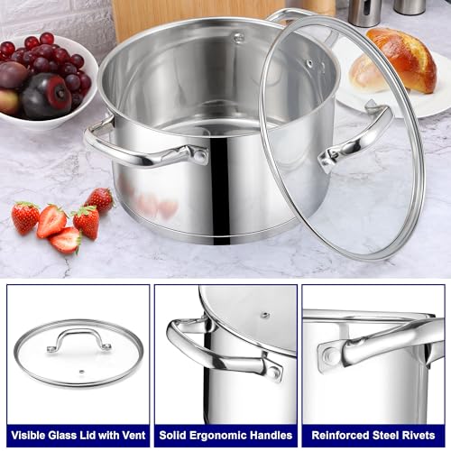 Stainless Steel Stock Pot (8 Quarts)