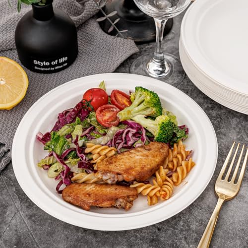 Paper Plates 9 Inch 125 (White / 9Inch（125 PCS）)