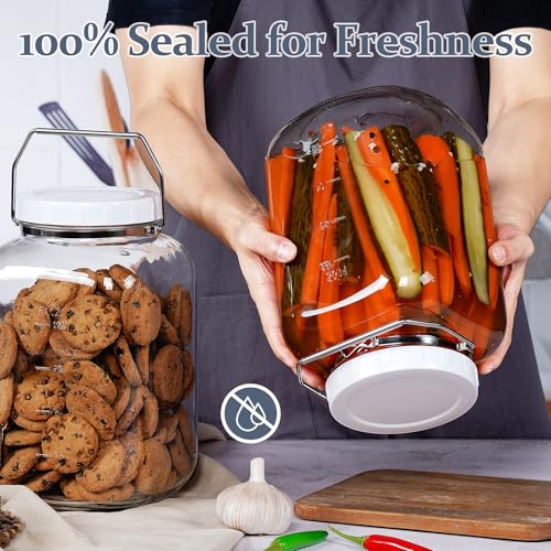 1.5 Gallon 5700 ML Glass Jar with Lid (1.5 Gallon)