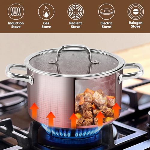 Stainless Steel Stock Pot (6 Quarts)