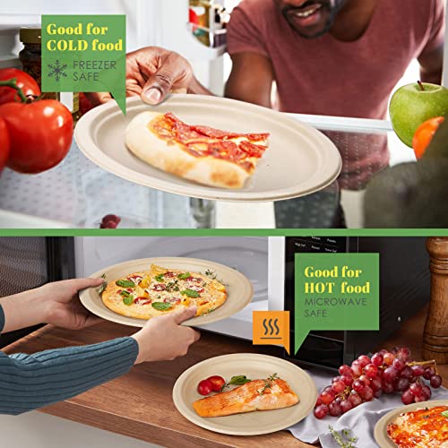 Compostable Paper Plates Napkins Set 250pcs Disposable Plates (250pcs)