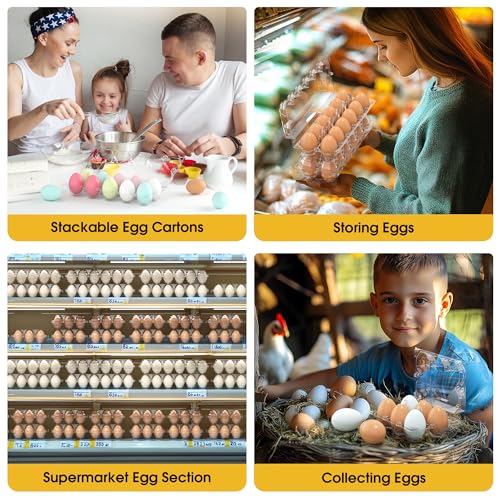 100 Pack Large Egg Cartons Cheap Bulk 6 Count Plastic Egg Containers 2x3 (100Pack-2x3 Large)