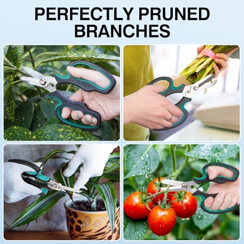Pruning Shears