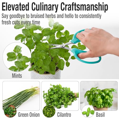 Culinary Herb Scissors