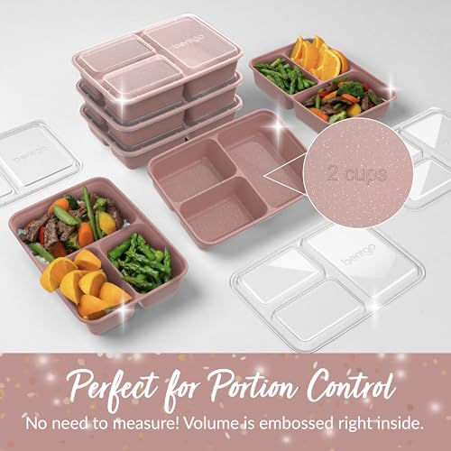 Prep - 20-Piece 3-Compartment Reusable Meal Prep Containers with Lids, PFAS & BPA Free Materials, Durable, Microwave, Freezer, & Dishwasher Safe To Go Food Storage (Rosette Glitter) (Rosette Glitter)