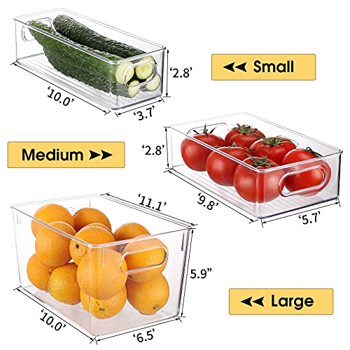Set Of 6 Refrigerator Organizers and Storage (6 Count)