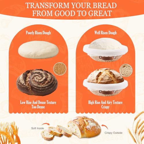 Sourdough Starter Kit (Complete Sourdough Starter Kit)