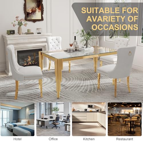 51'' Modern Glass Dining Table for 4 People (Gold-clear / Rectangle-51.18" L x 31.50" W x 29.53" H)