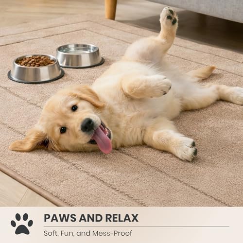 Hallway Runner Rug (Beige / 32" X 70" (Runner))