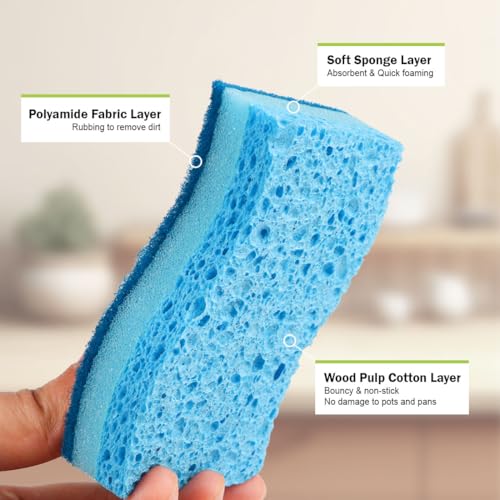 Sponges Kitchen (6 Count)