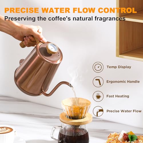 Electric Gooseneck Kettle with Thermometer (COPPER)