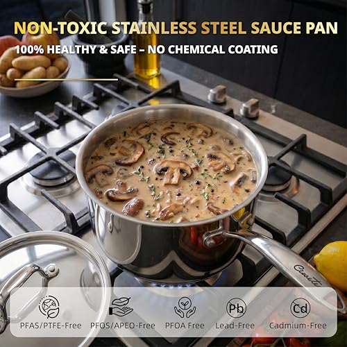 2 Quart Sauce Pan with Lid (Sauce Pan / 2 Quart)
